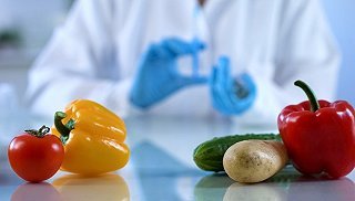 新修訂《食品安全法實施條例》增設(shè)‘處罰到人’ 最高可處年收入10倍罰款，強化食品銷售監(jiān)管