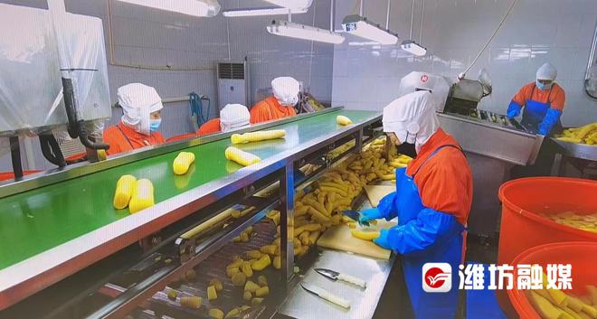 預制菜訂單火爆，企業生產排期已至五月